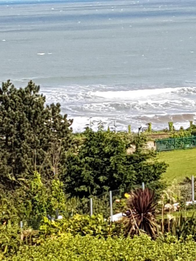 Norwegian Wood Hotel Paignton Kültér fotó
