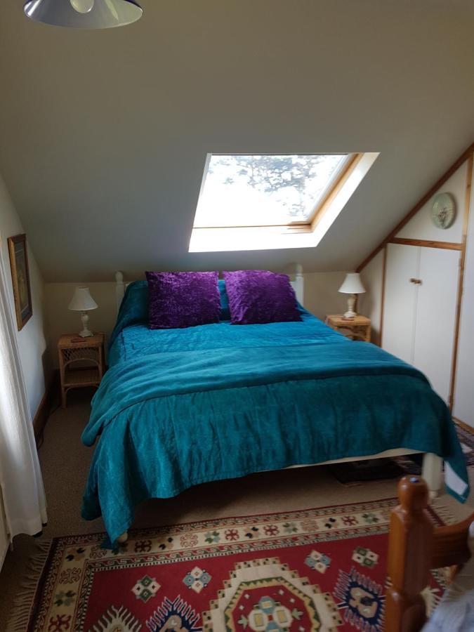 Norwegian Wood Hotel Paignton Kültér fotó
