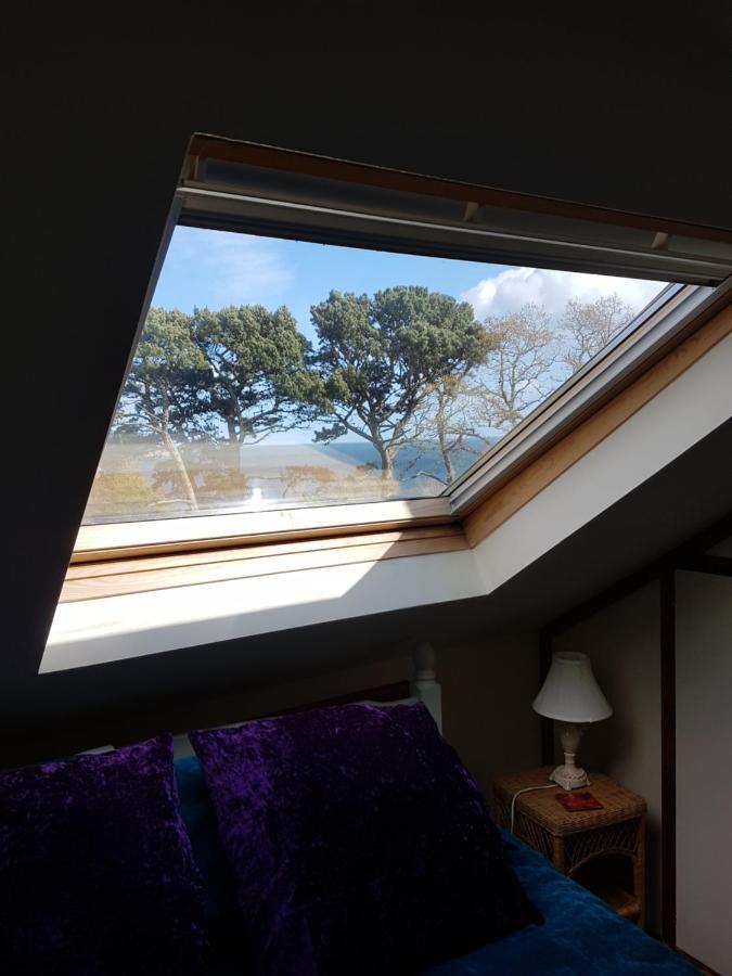 Norwegian Wood Hotel Paignton Kültér fotó