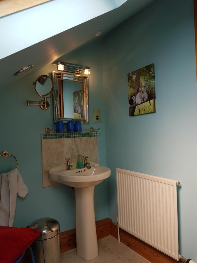 Norwegian Wood Hotel Paignton Kültér fotó