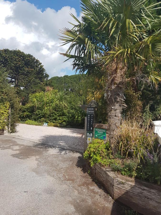 Norwegian Wood Hotel Paignton Kültér fotó