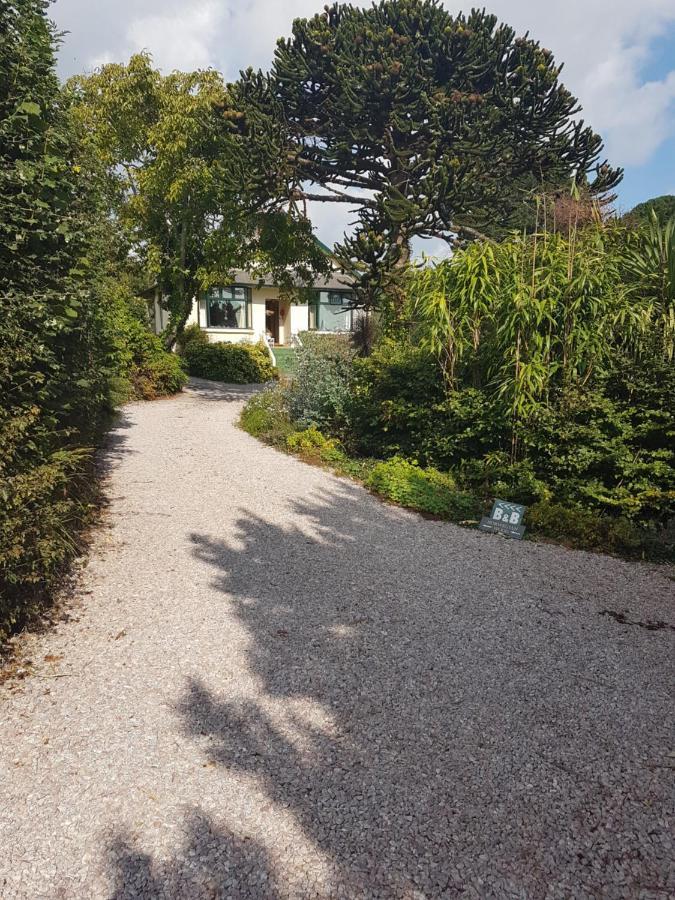 Norwegian Wood Hotel Paignton Kültér fotó